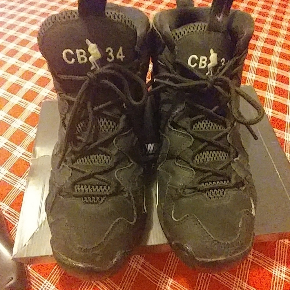 Nike Charles Barkley Sneakers.